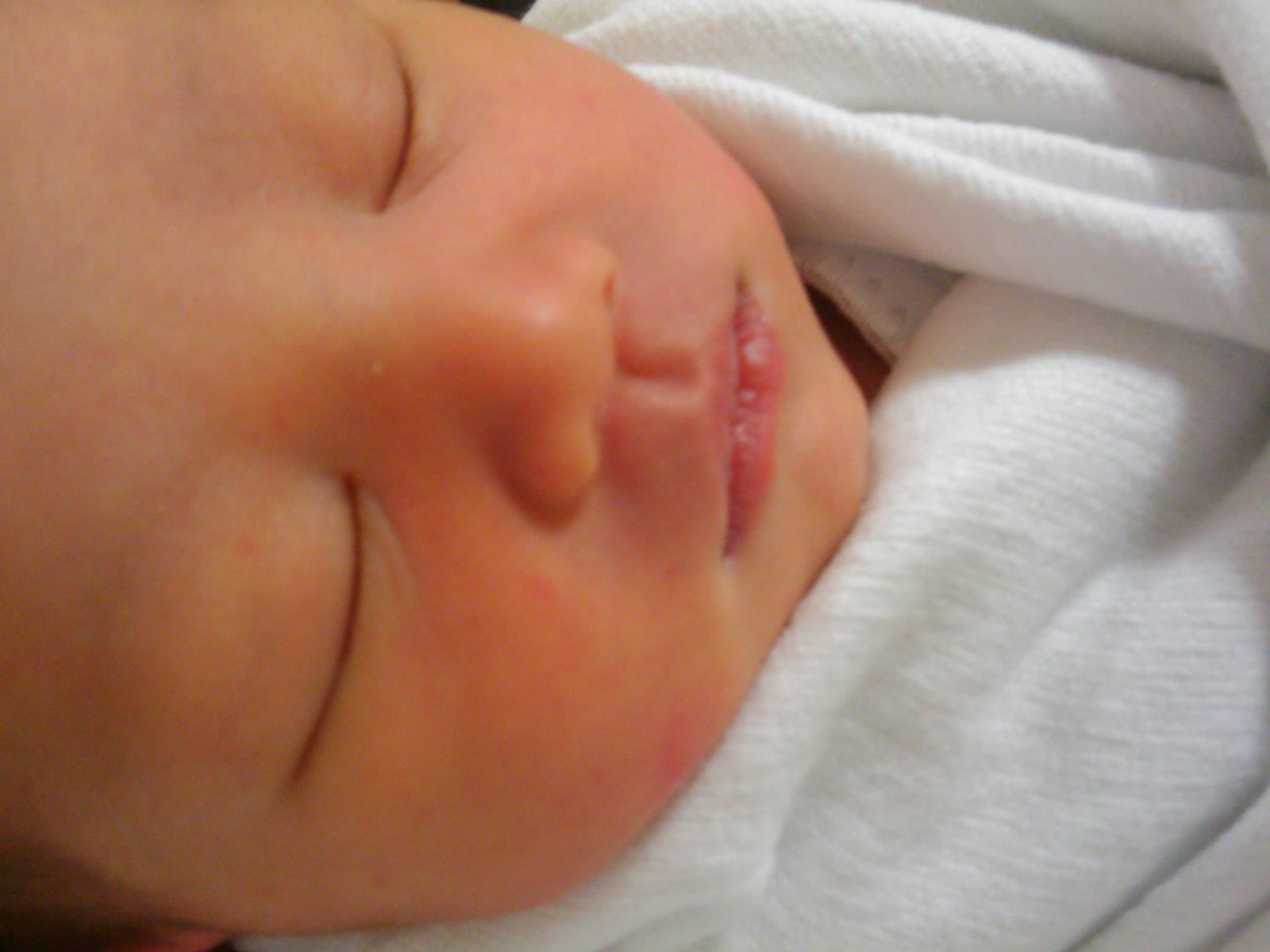 [IMAGE_267-744037.jpg]