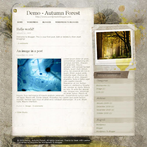 autumnforest