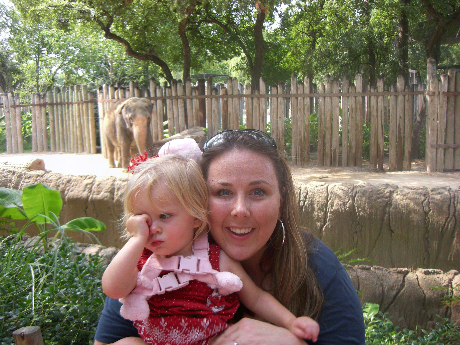 [Elephant-Alyiva.gif]