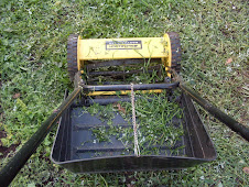 The push/pull lawn mower with the grass catcher