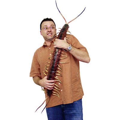 giant-posable-centipede.jpg