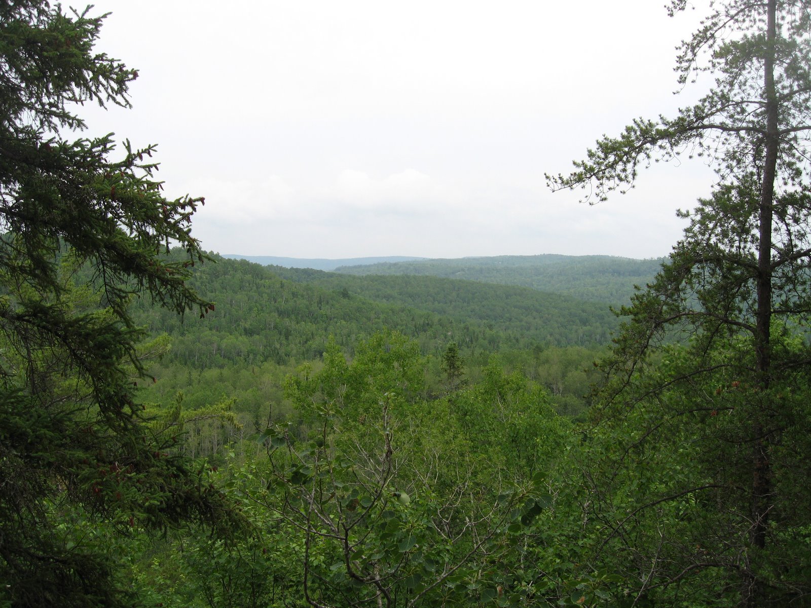 [9++juillet+2008+005.jpg]