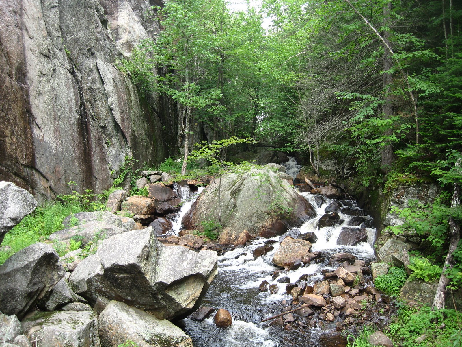 [9++juillet+2008+031.jpg]