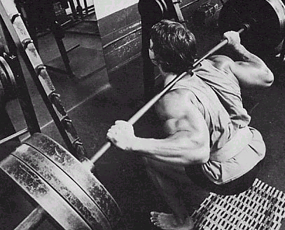 [arnold-squats.gif]