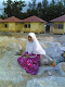 Foto saya