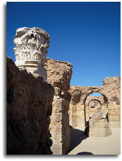 Da pata da mosca ao uivo do lobo Tunísia Termas de Antonino