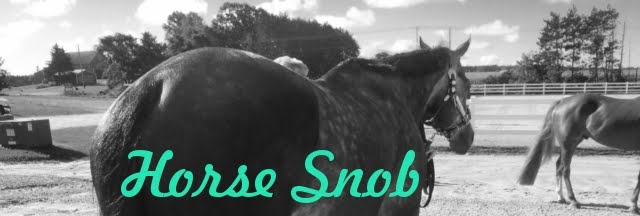 Horse Snob