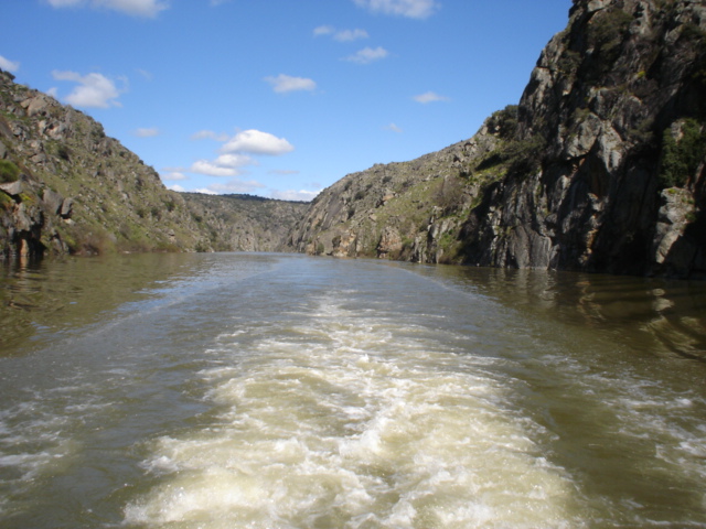 [DSC02472.JPG]