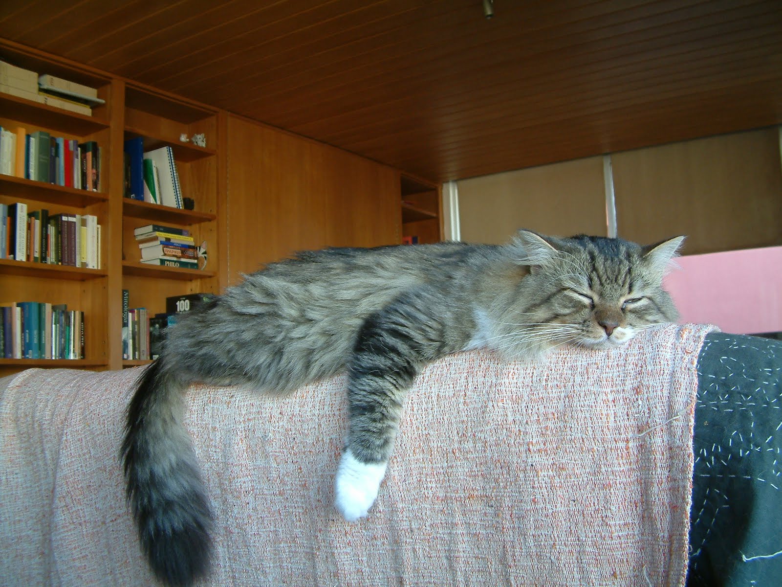 [DSCF0069.JPG]