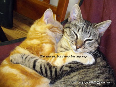 [John+Waynes+Background+11-10-08+003.jpg]