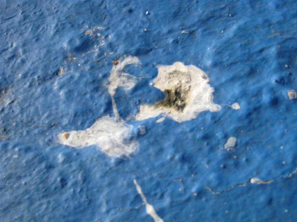 [agrades(Large).jpg]