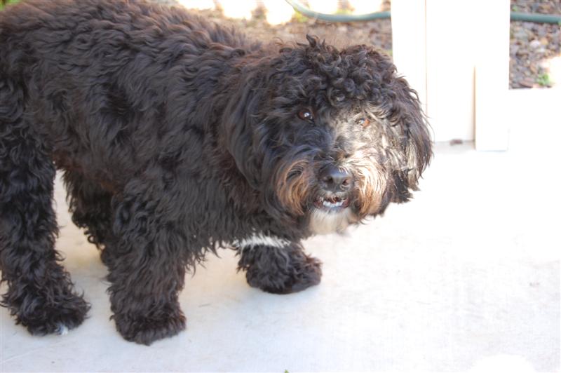 [DSC_2397+(Medium).JPG]