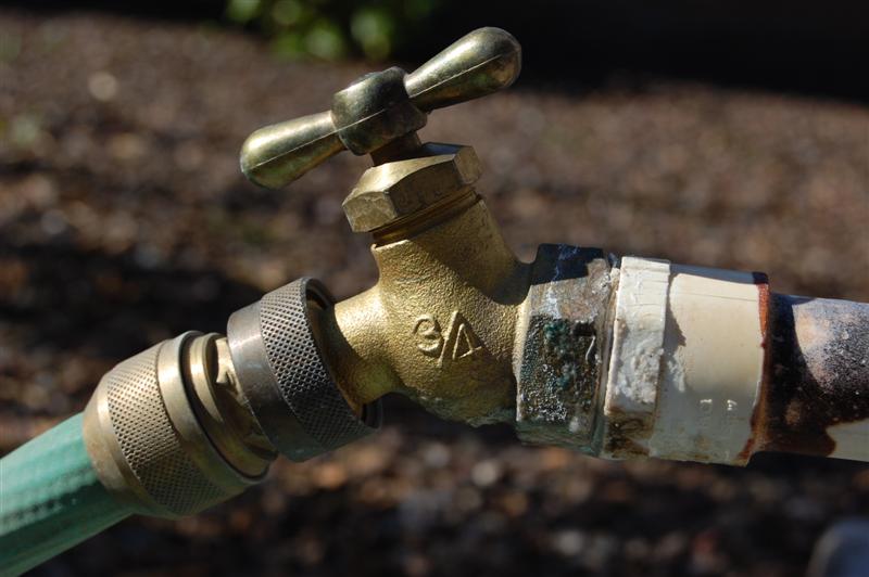 [DSC_2463+(Medium).JPG]