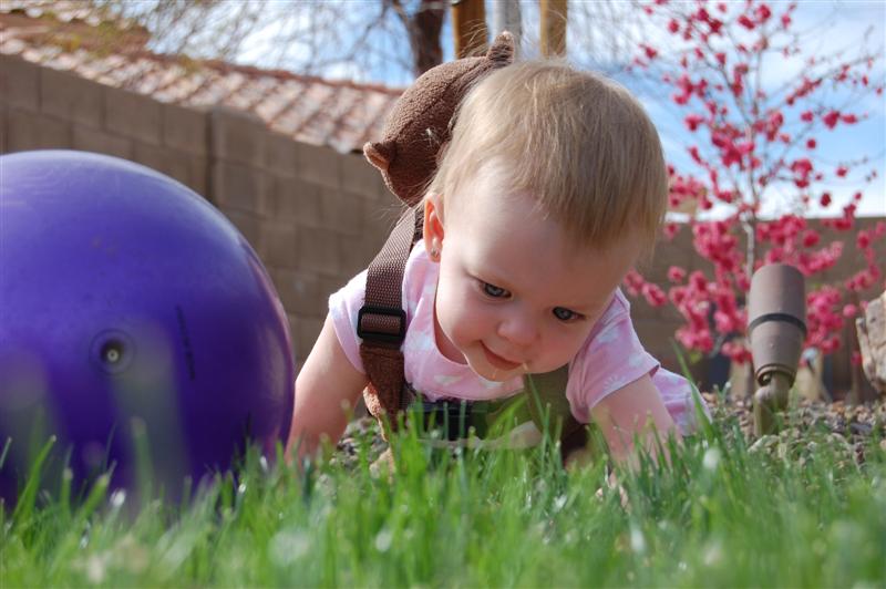 [DSC_3414+(Medium).JPG]