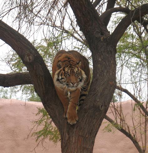 [IMG_2483(edited).JPG]