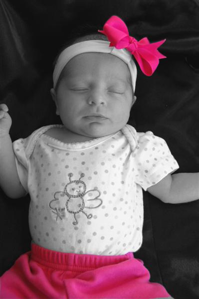 [DSC_4659_3+(Medium).jpg]