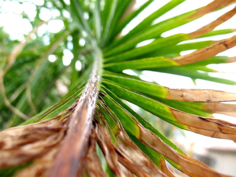 [IMG_6649+(Medium).jpg]