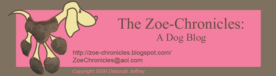 The Zoe-Chronicles:  A Dog Blog