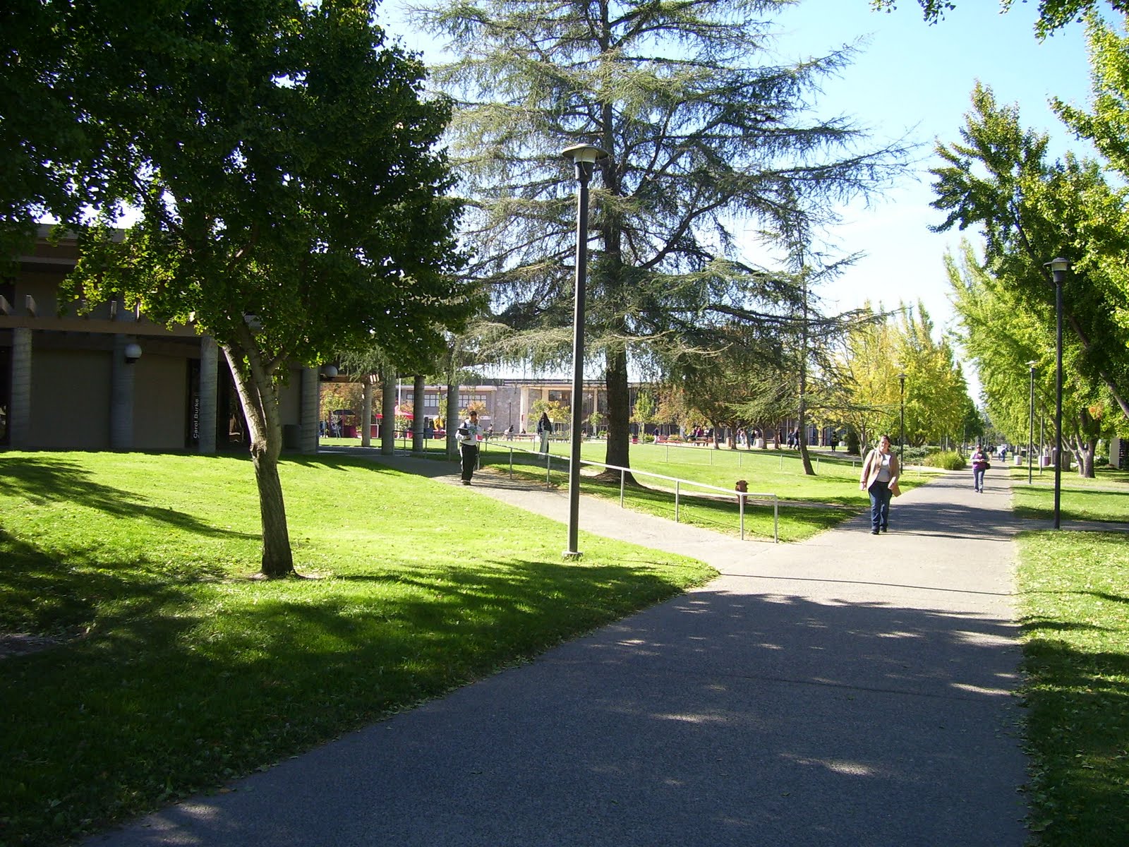 [100_3424.JPG]