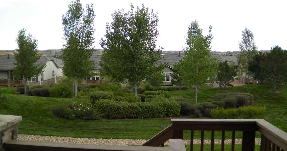 Broomfield Colorado Homes For Sale Broomfield CO Parade Of Homes