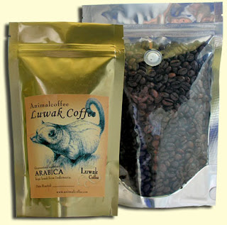 براز حيوان قهوه في س تاربوكس‎.. Luwak+coffee