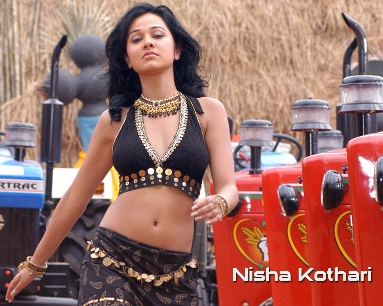 http://3.bp.blogspot.com/_P3pzc8HiI2k/TTfppGTbwDI/AAAAAAAACPI/_NiCSnmZaTo/s1600/Nisha+Kothari-97.jpg