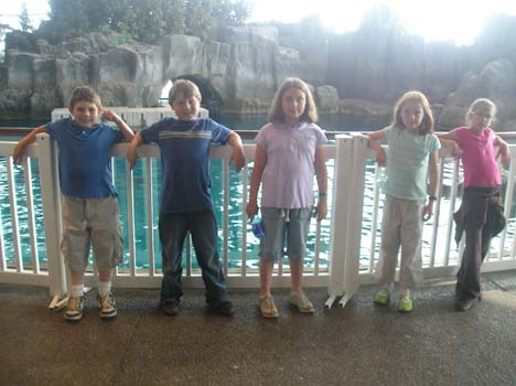 [FT-group2-Aquarium.jpg]