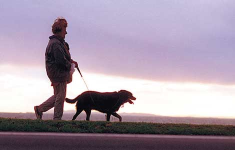 [walk-dog.jpg]