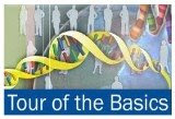 Life Science FUNdamentals