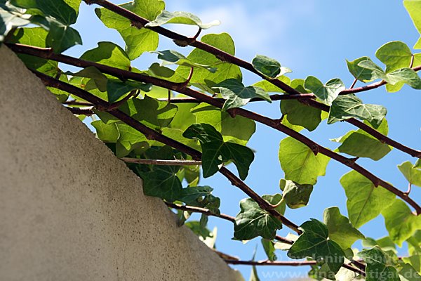 [IMG_7329.jpg]