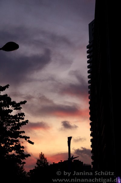 [IMG_7369.jpg]
