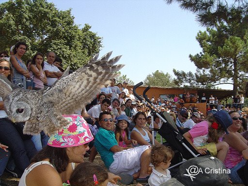 [DSC06680.JPG]