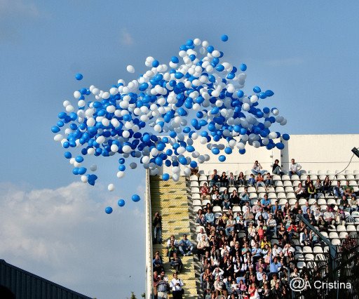 [IMG_3933.JPG]