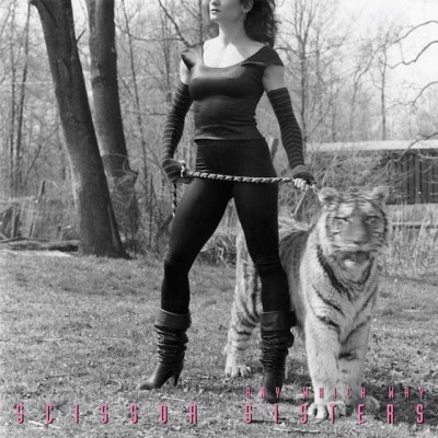 Scissor-Sisters-Any-Which-Way-Official-Single-Cover-400x400.jpg