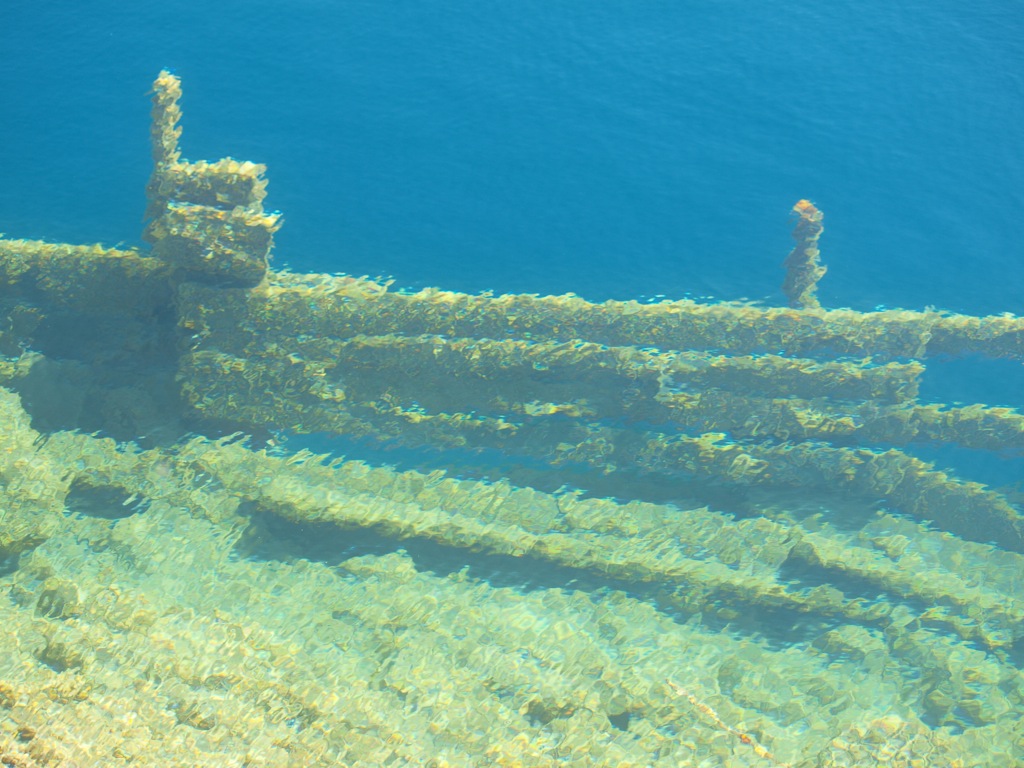 [LisaChenMandell.JPG]