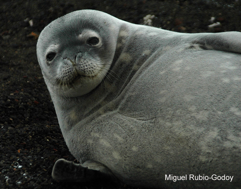 [Deception_Is+075.jpg]