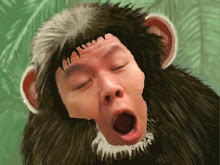 Monkey Boy