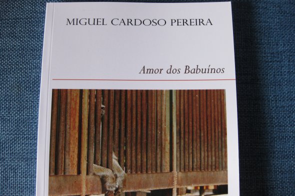 [babuinos.jpg]