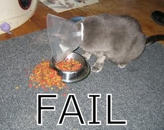 gato_fail_2.JPG