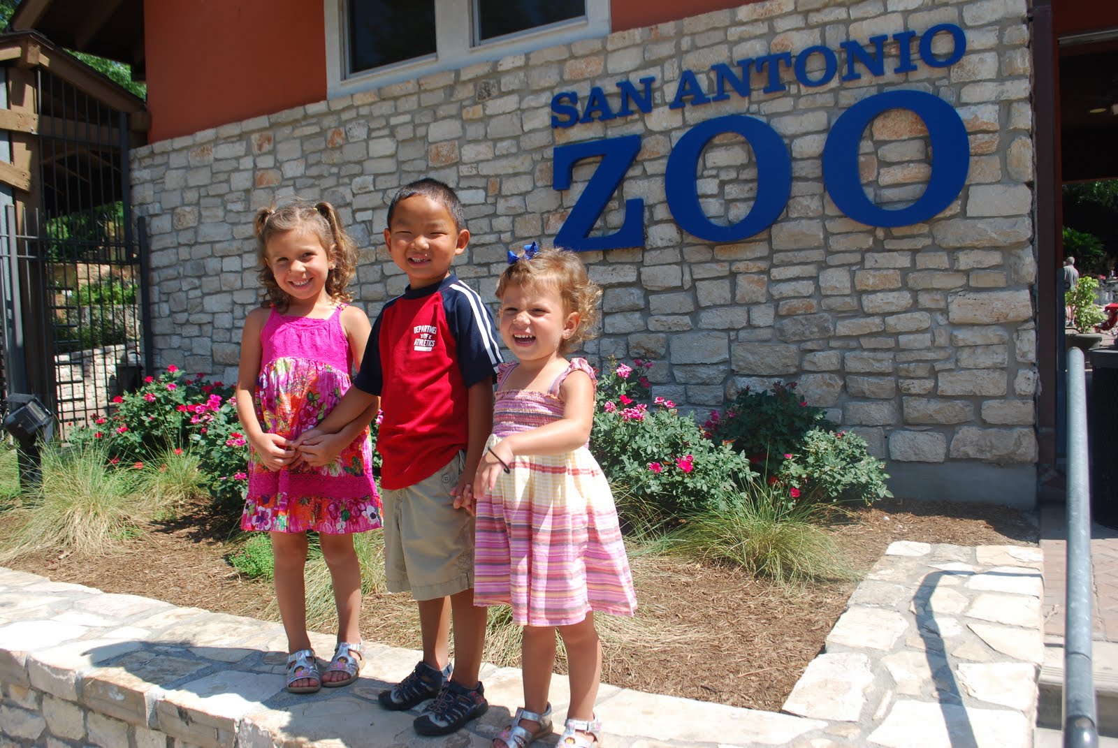 the San Antonio zoo.