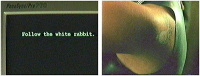 http://3.bp.blogspot.com/_P9I9Et-j-4s/SOohP7yfQ-I/AAAAAAAAAE4/lE7YWj84ozY/s400/Follow_the_White_Rabbit.jpg