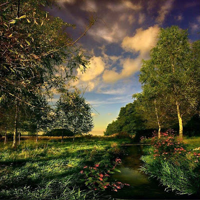 hot nature wallpaper 3d. 3d nature wallpaper nature wallpaper. hot nature wallpaper 3d.