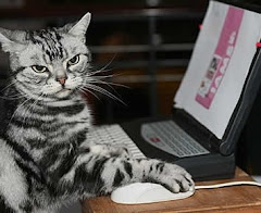 Problemas com seu Micro?