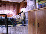 The Upstairs