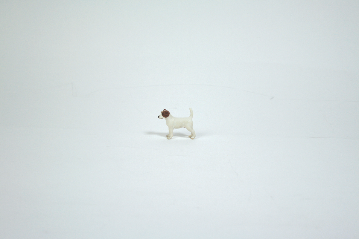 [white-dog.png]