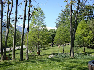 si può fare l amore vestiti filmup