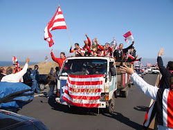 campeones 2008