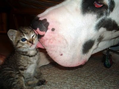 [lickme+(2).jpg]