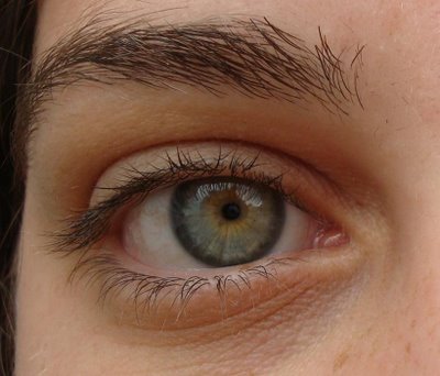 [Olhos+Lindos.JPG]