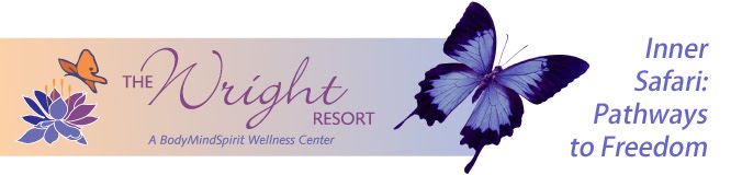 Inner Safari: Pathways to Freedom